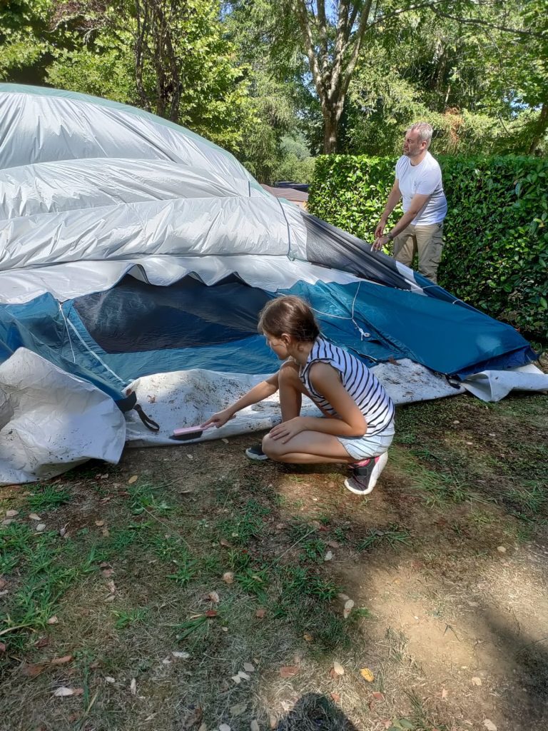 The art of the automobile: why cars look the way they do