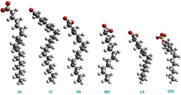 Atomistic models of fatty acids and surfactant molecules including oleate (OL), stearate (ST), palmitate (PA), myristate (MY), laurate (LA), and sodium dodecyl sulfate (SDS).