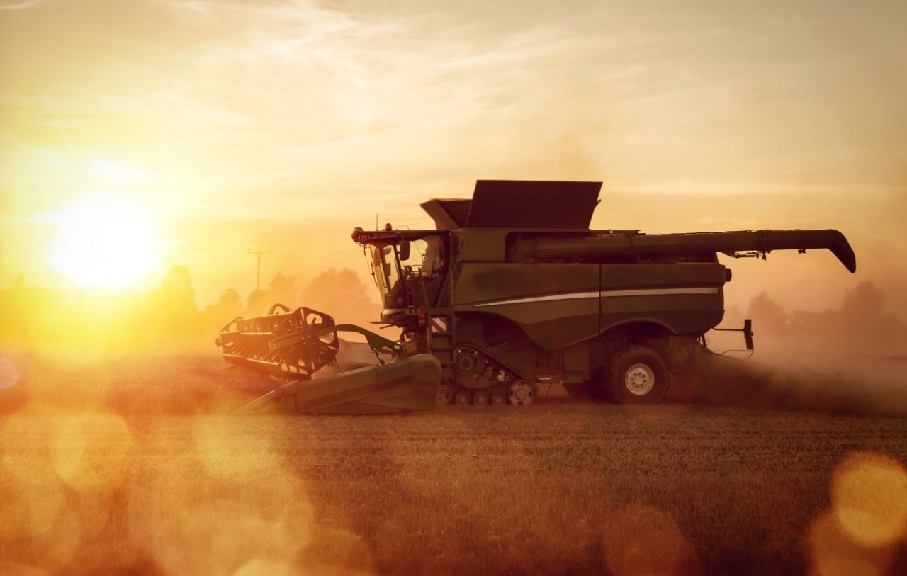 Combine harvester operating in a grain field at sunset during harvest season.