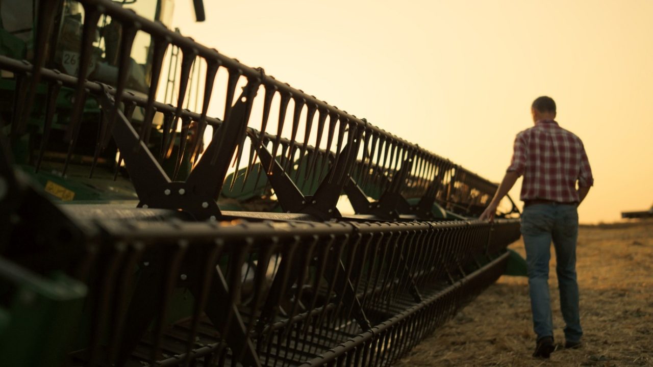 Person walking alongside a combine harvester header in a harvested field at sunset.