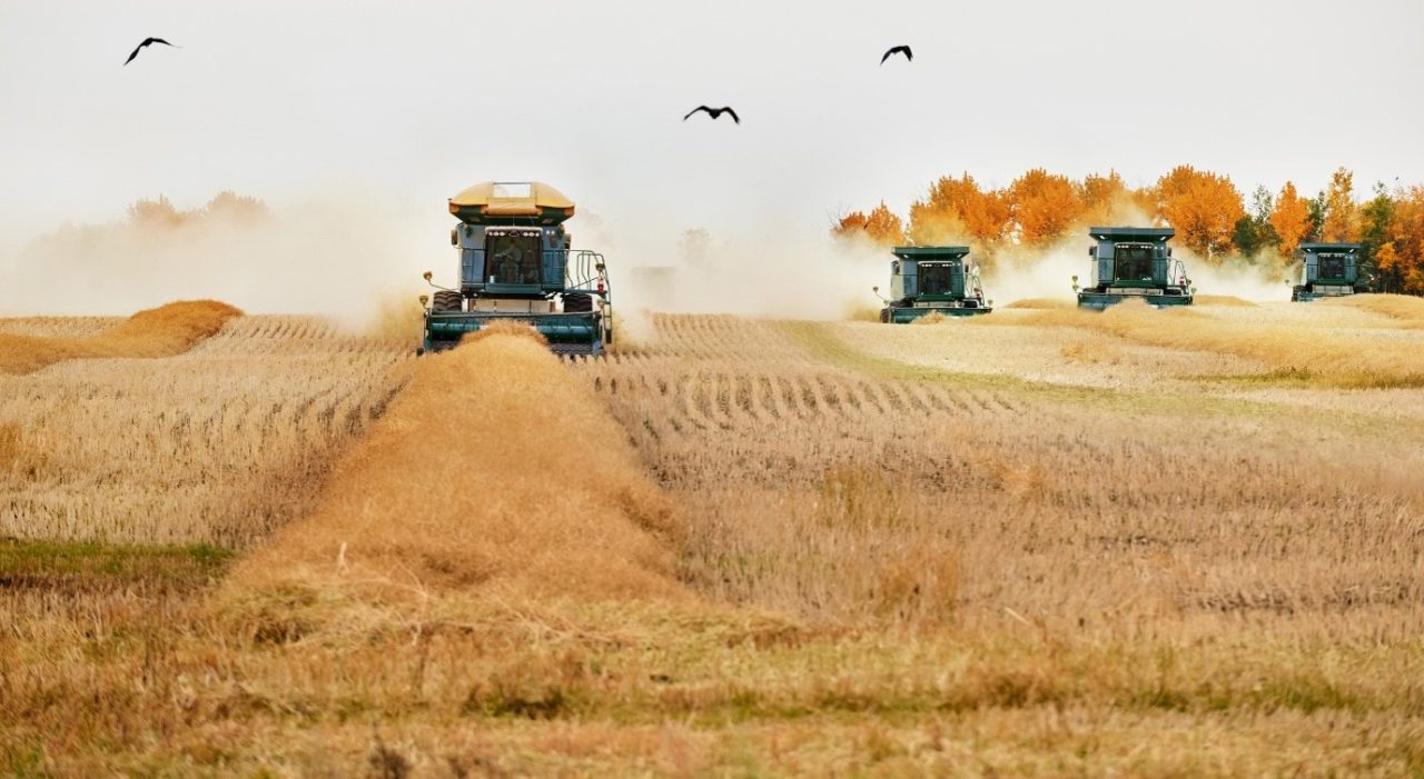 Virtual prototype of a combine harvester used for engineering simulation.