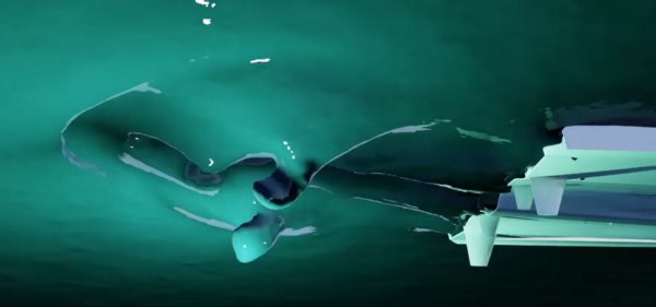 Computer Aided Engineering in the Industrial Metaverse – Part 2