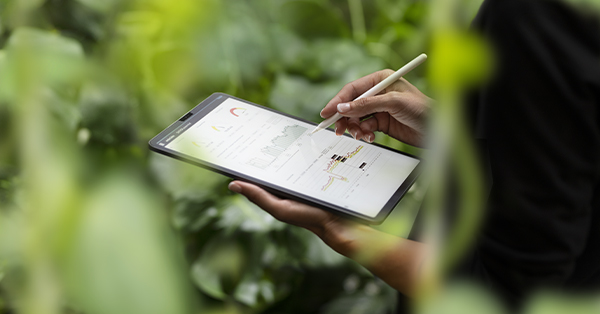 woman using a tablet in a green environment