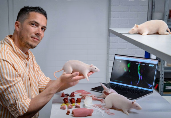 From Oranges to Engineered Skin: Rethinking Medical Device Testing