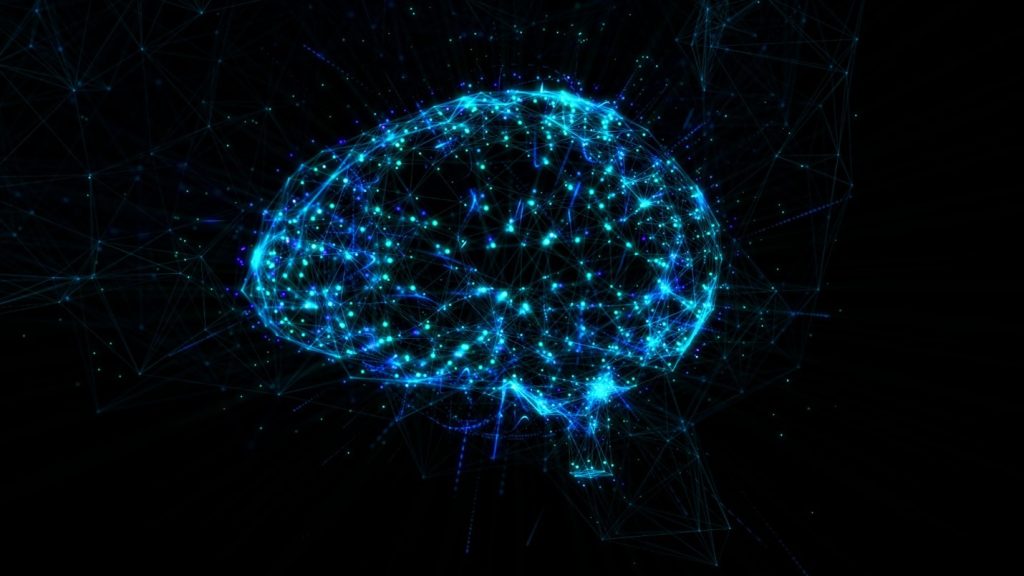lit up brain